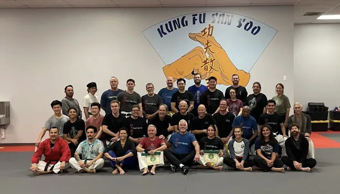 Dave Hopkins Kung Fu San Soo Picture 2