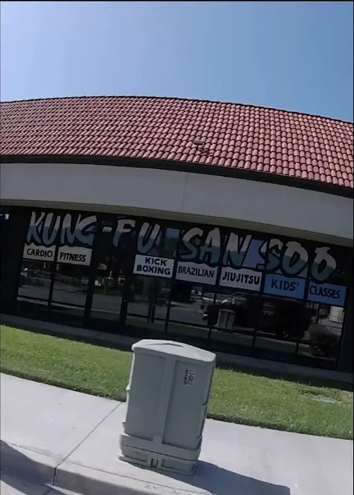 Dave Hopkins Kung Fu San Soo Picture 5