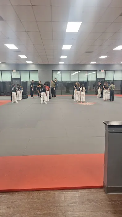 Dave Hopkins Kung Fu San Soo Picture 6