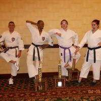 Shozen Martial Arts ico