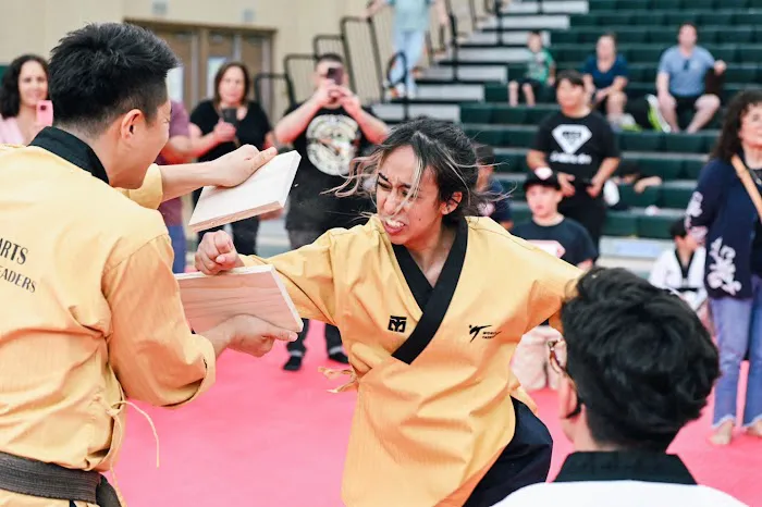 Sky Martial Arts - OrangeCrest Picture 9