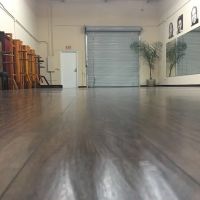 Wing Chun Kung Fu - The Dragon Institute ico