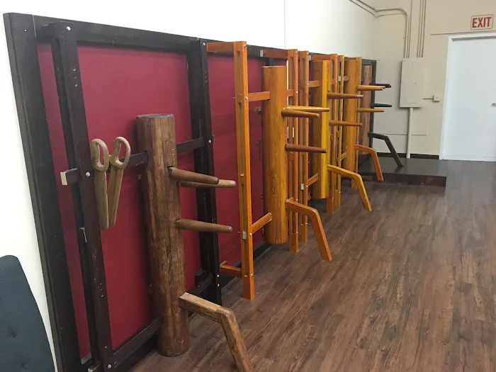 Wing Chun Kung Fu - The Dragon Institute Picture 4