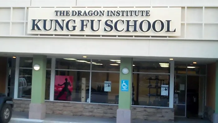 Wing Chun Kung Fu - The Dragon Institute Picture 3
