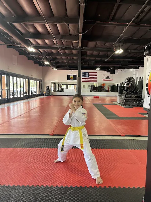 United Studios of Self Defense (USSD) - Lake Forest Picture 1