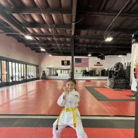 United Studios of Self Defense (USSD) - Lake Forest ico