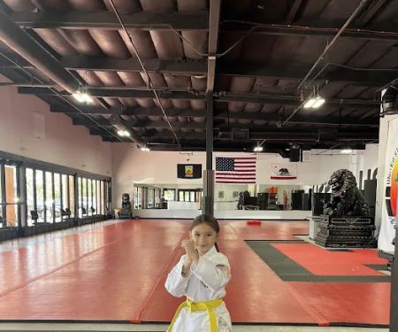 United Studios of Self Defense (USSD) - Lake Forest