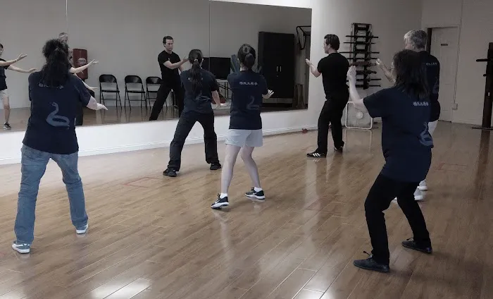 MJLH Kung Fu and Tai Chi Picture 8