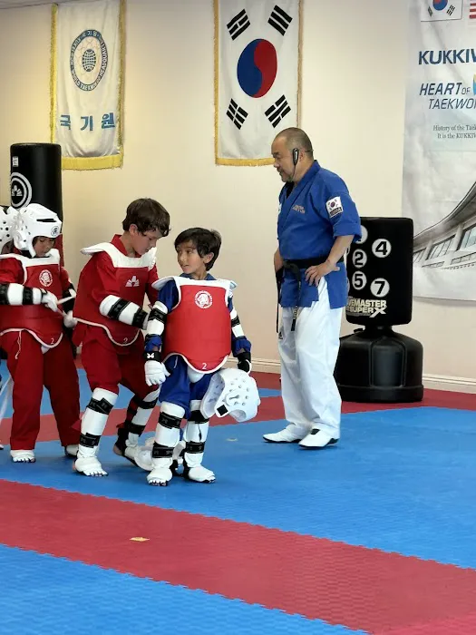 Lee's Tae Kwon DO Picture 4