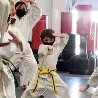 American Tigers Taekwondo ico