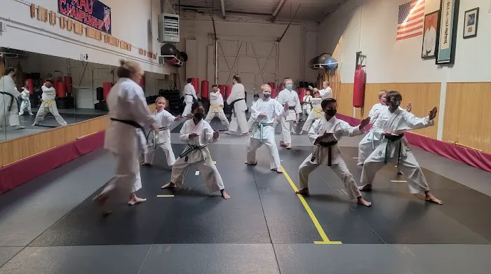 American Tigers Taekwondo Picture 2