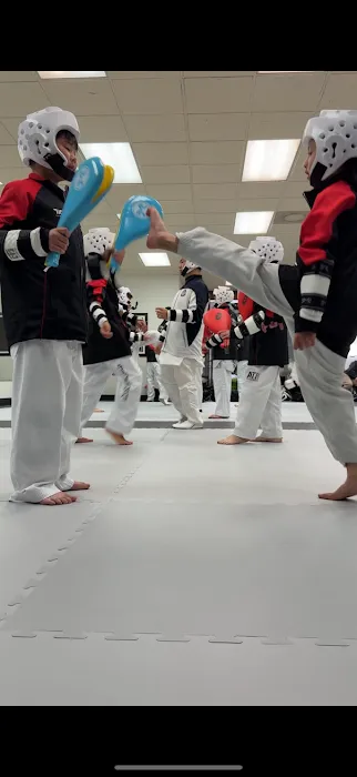 American Tigers Taekwondo Picture 5