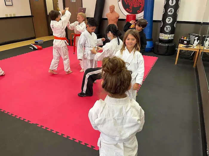 Karate for Kids Mission Viejo Picture 5