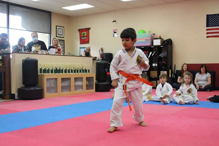 Karate for Kids Mission Viejo Picture 3