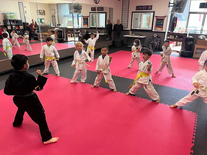 Karate for Kids Mission Viejo Picture 6