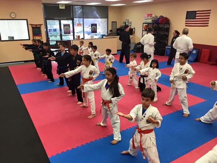 Karate for Kids Mission Viejo Picture 7