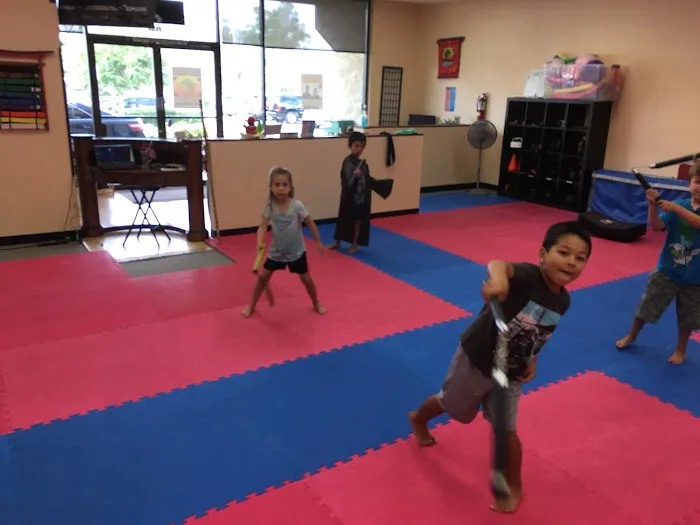 Karate for Kids Mission Viejo Picture 9
