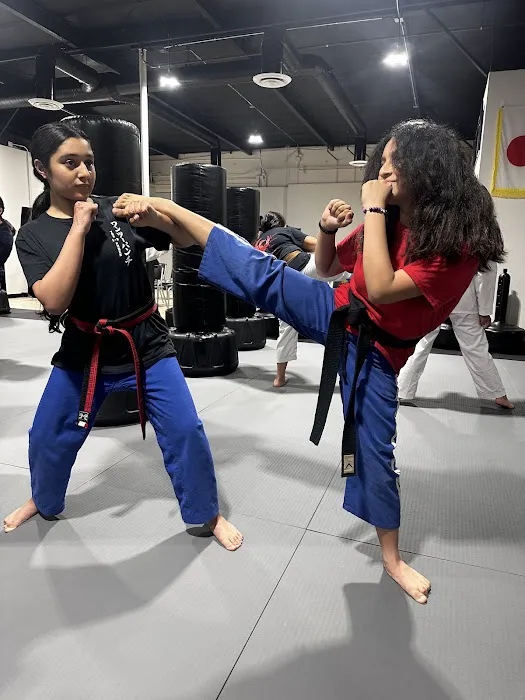 The 1-2 Punch Family Martial Arts and Fitness Center Picture 7