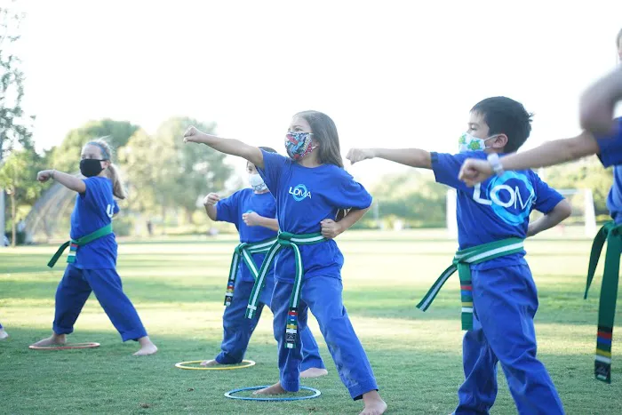 Life Of Martial Arts - LOMA Picture 4