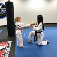 OCMA Martial Arts ico