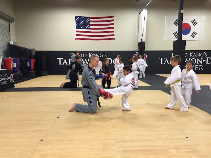 David Kang's Taekwondo Center Picture 1