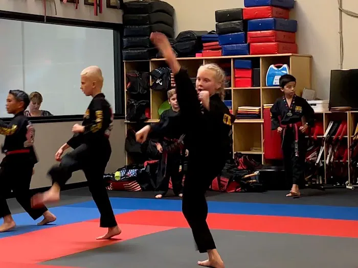 David Kang's Taekwondo Center Picture 10