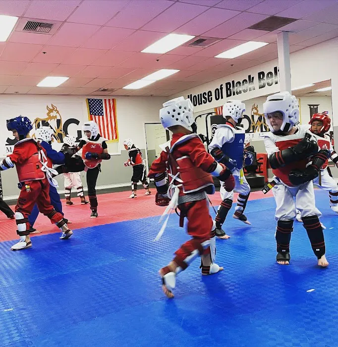 Jung Martial Arts Picture 4