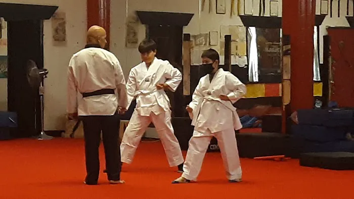 Larry Ammons Tae Kwon Do/ Karate Picture 1