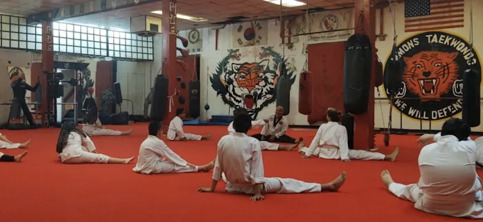 Larry Ammons Tae Kwon Do/ Karate Picture 2