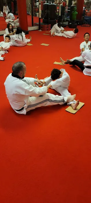 Larry Ammons Tae Kwon Do/ Karate Picture 5