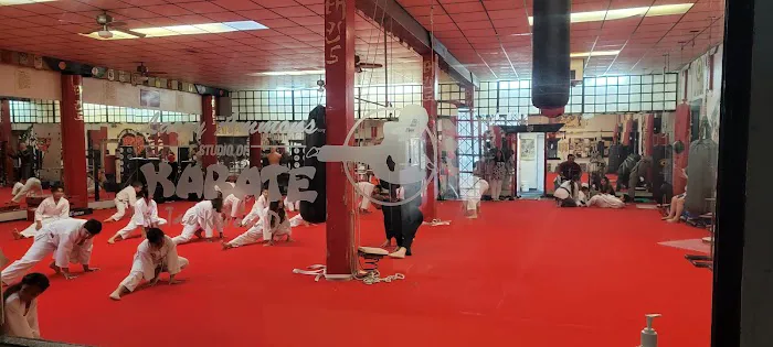 Larry Ammons Tae Kwon Do/ Karate Picture 4