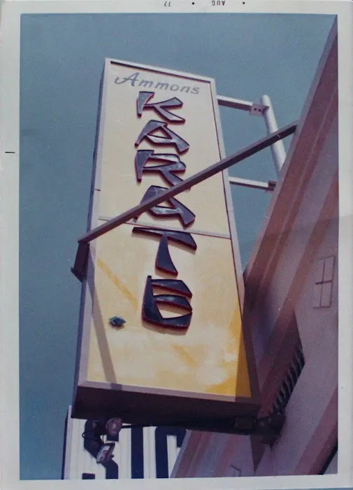 Larry Ammons Tae Kwon Do/ Karate Picture 8