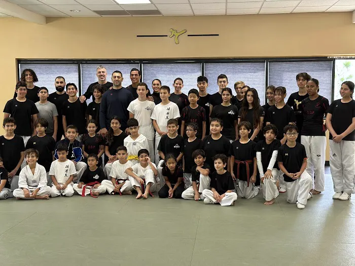 Master Graesser's National TaeKwonDo Picture 2