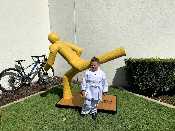 Master Graesser's National TaeKwonDo Picture 4