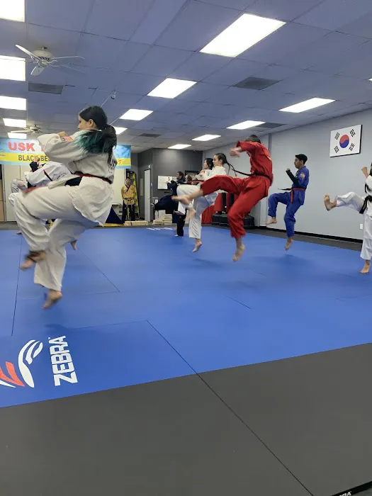 USK TAE KWON DO Picture 4