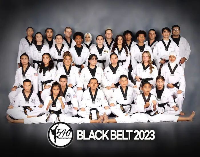 540 Taekwondo - Martial Arts Picture 3