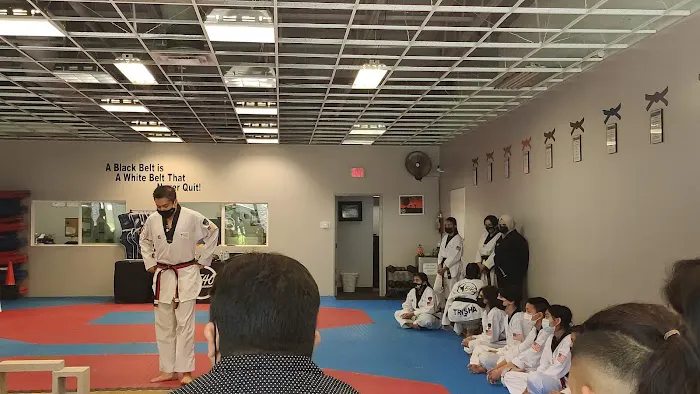 540 Taekwondo - Martial Arts Picture 1