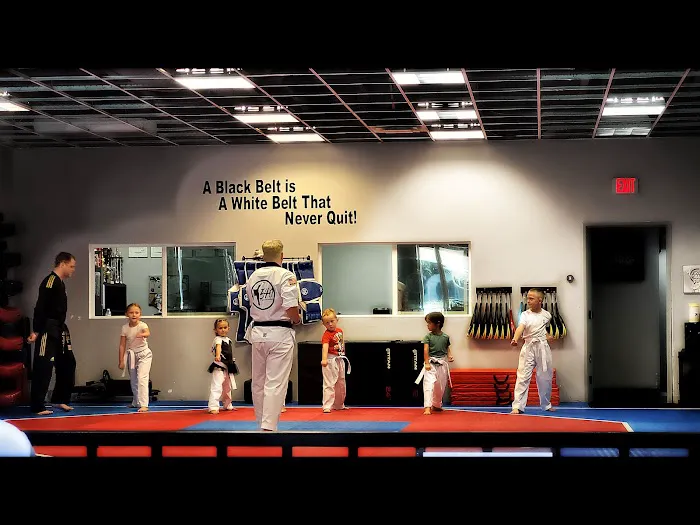 540 Taekwondo - Martial Arts Picture 2