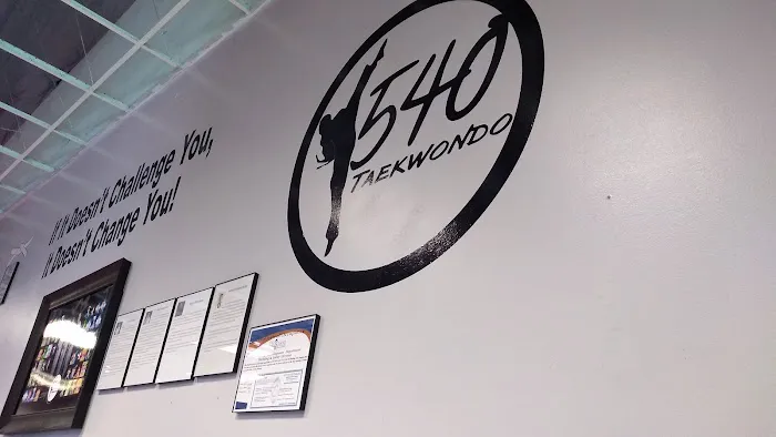 540 Taekwondo - Martial Arts Picture 6