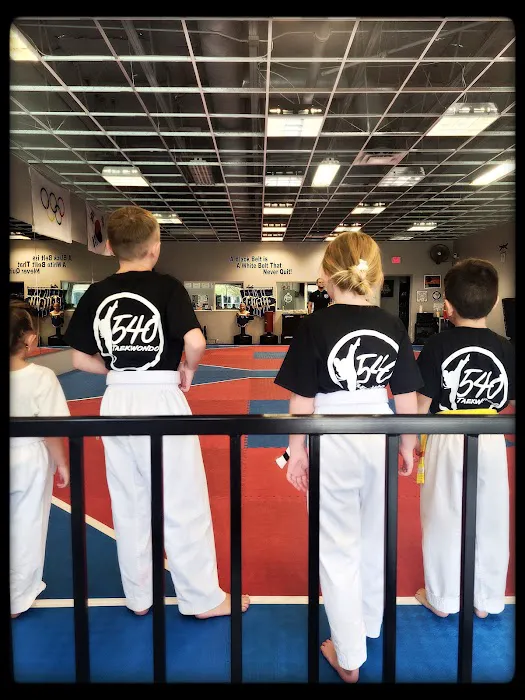 540 Taekwondo - Martial Arts Picture 4