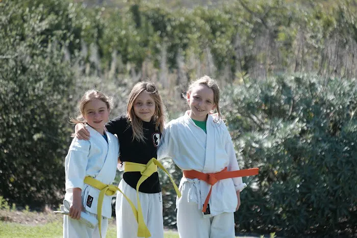 Laguna Beach Dojo Picture 4