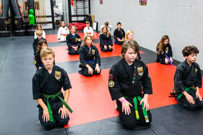 Laguna Beach Dojo Picture 9