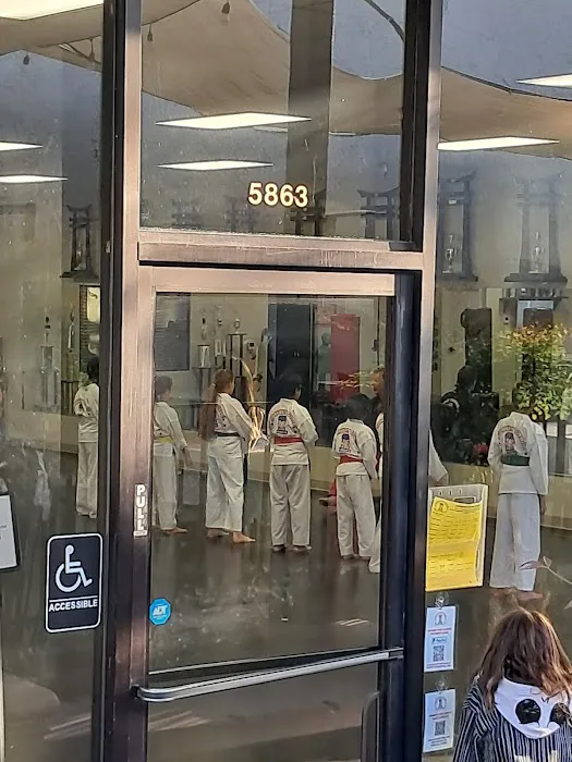 Johnny Gyro Karate Picture 4