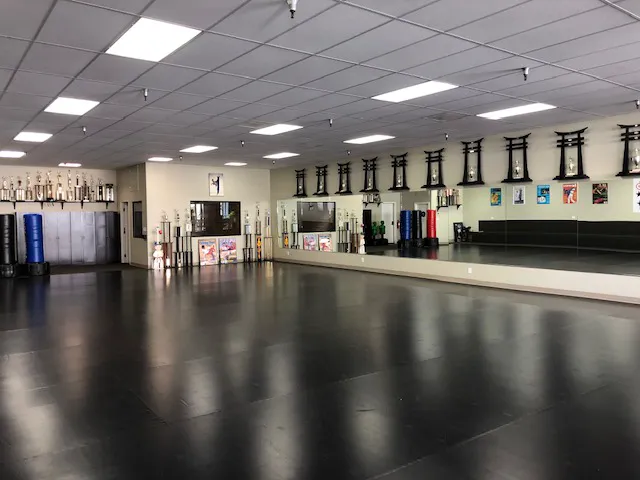 Johnny Gyro Karate Picture 1