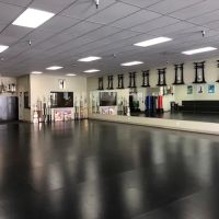 Johnny Gyro Karate ico