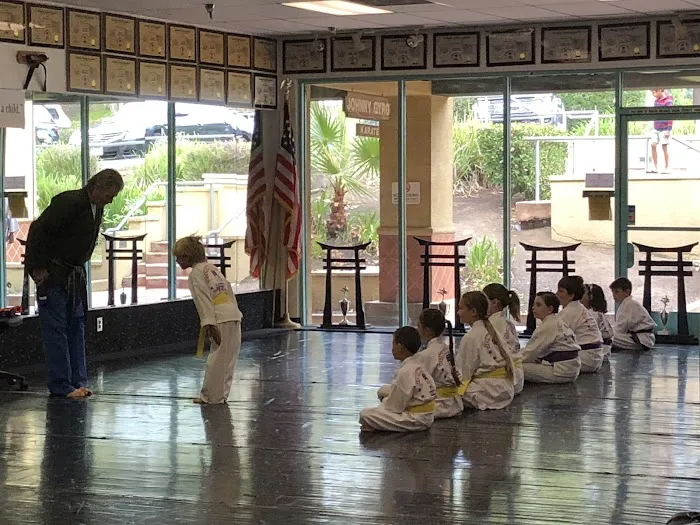 Johnny Gyro Karate Picture 8