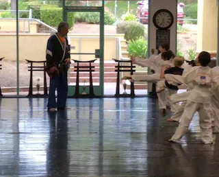 Johnny Gyro Karate Picture 6