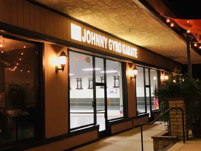 Johnny Gyro Karate Picture 7
