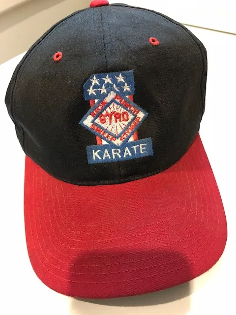 Johnny Gyro Karate Picture 10