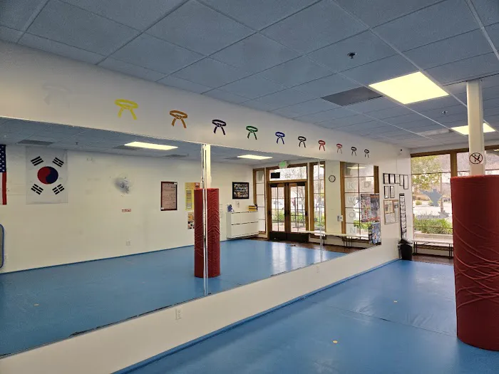 Champion Taekwondo Academy Picture 3